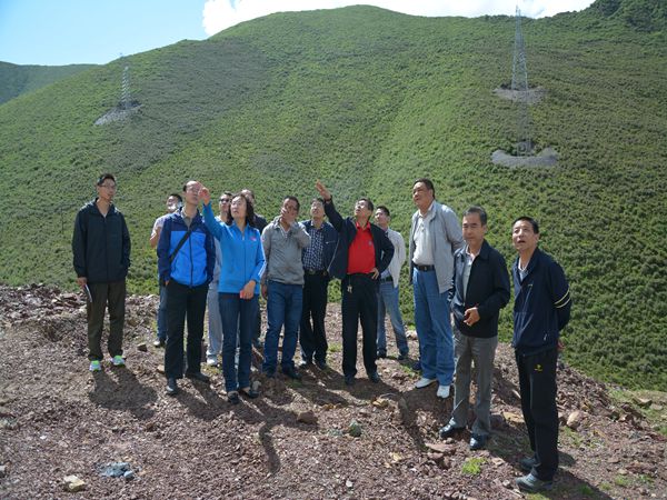 1585321038696010.jpg 1585321038696010.jpg