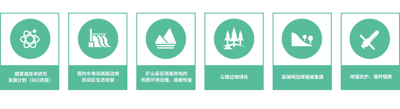 1585550656680298.jpg 23.jpg