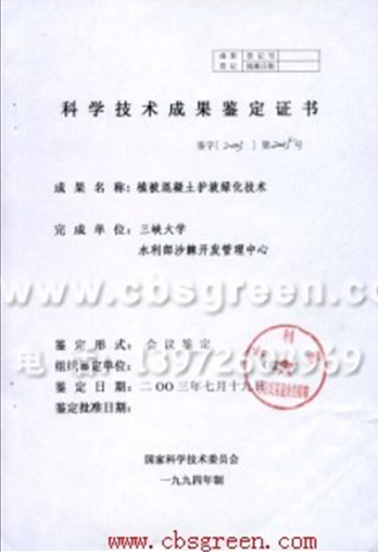 1585554254515197.jpg 71.jpg