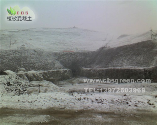 1602212453387157.jpg 1.jpg