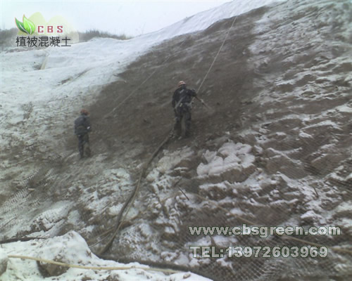 1602212465736999.jpg 2.jpg