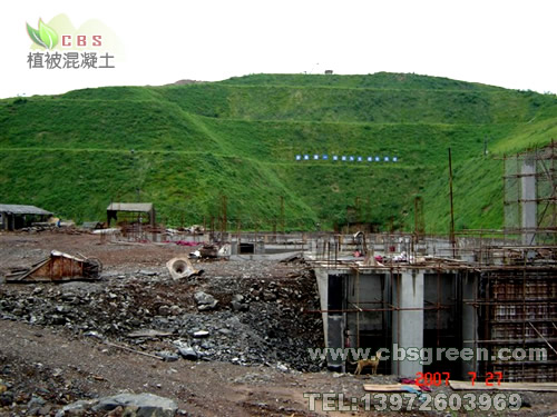 1602212527993839.jpg 7.jpg