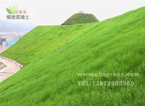 1602212893864038.jpg 5.jpg