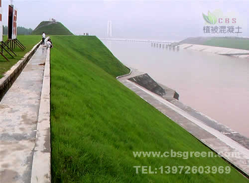 1602213041919910.jpg 3.jpg