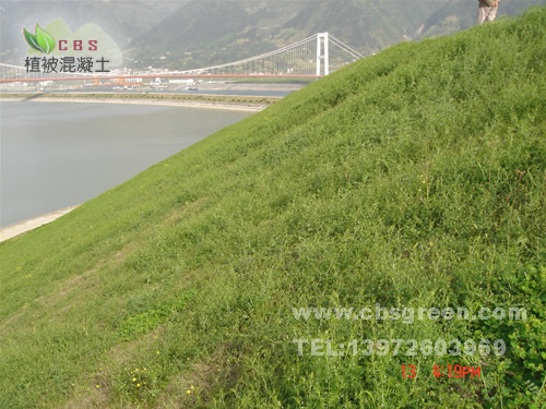 1602213086590562.jpg 7.jpg