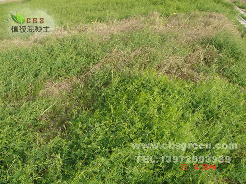 1602213096874142.jpg 8.jpg