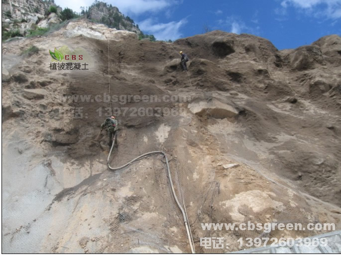 1602213218724422.jpg 2.jpg