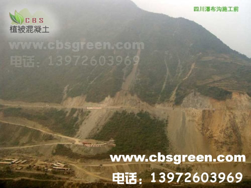 1602213521878295.jpg 1.jpg