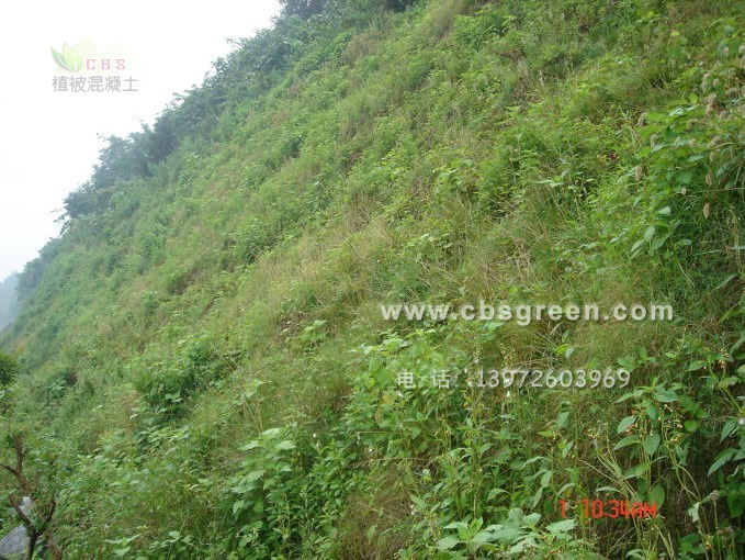 1602213583743222.jpg 3.jpg