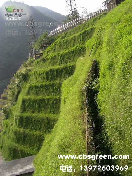 1602213738242241.jpg 3.jpg