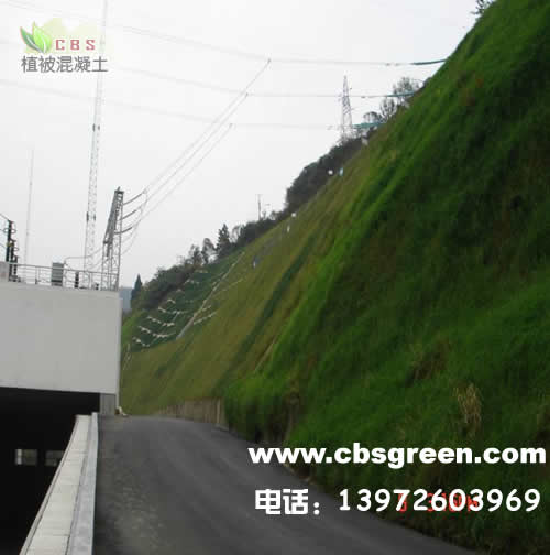 1602213752710324.jpg 4.jpg