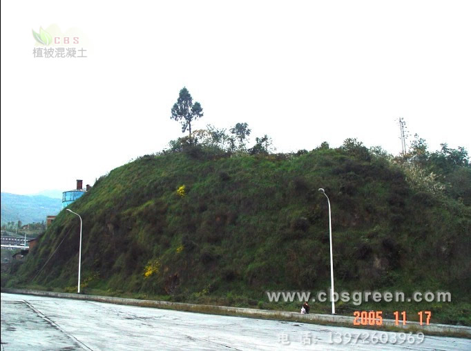 1602213893134221.jpg 2.jpg