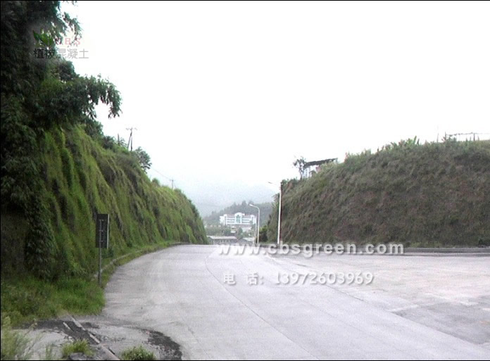 1602213916715990.jpg 4.jpg