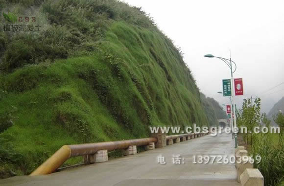 1602214015691236.jpg 2.jpg