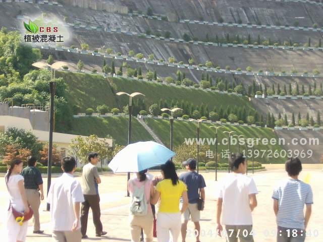 1602215255294601.jpg 1.jpg