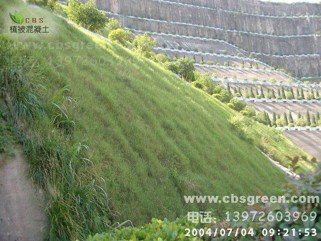 1602215260746734.jpg 2.jpg