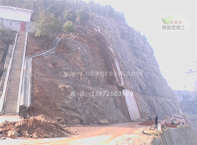 1602215684296761.jpg 1.jpg