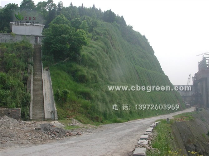 1602215761918885.jpg 4.jpg