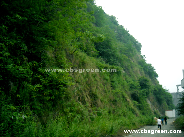 1602215780283421.jpg 5.jpg