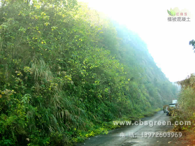 1602215802246281.jpg 6.jpg