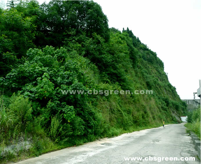 1602215816218979.jpg 7.jpg