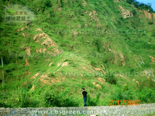 1602226591730064.jpg 4.jpg