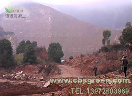 1602226702645549.jpg 1.jpg