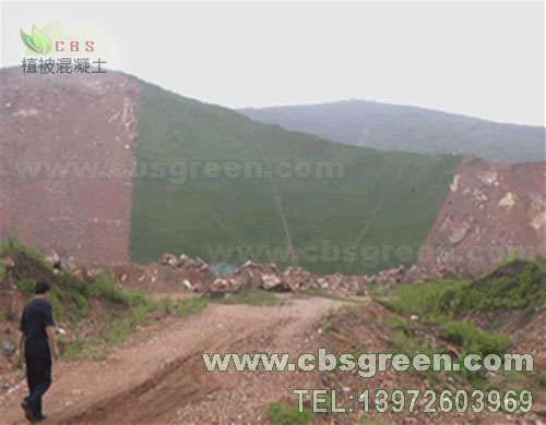 1602226722903357.jpg 2.jpg