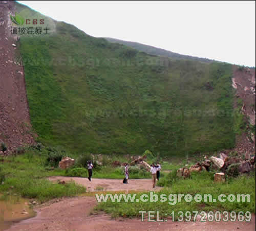 1602226735686581.jpg 3.jpg