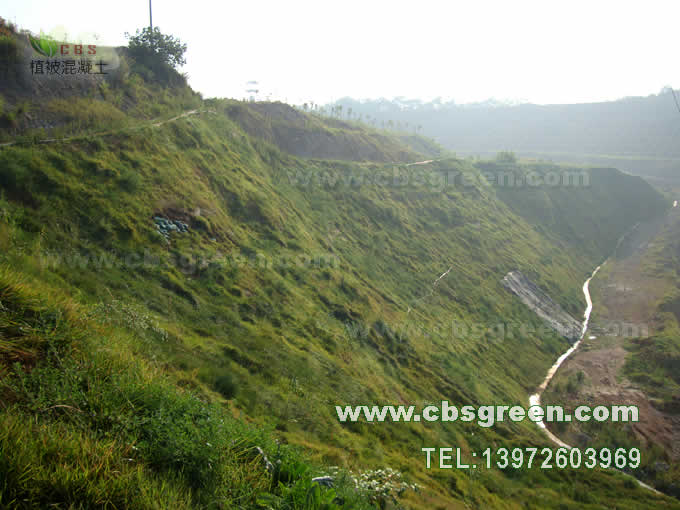 1602227209450685.jpg 4.jpg