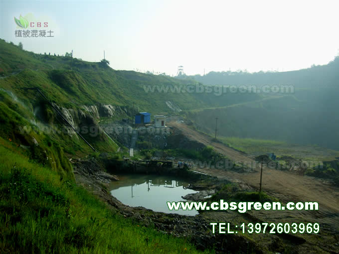 1602227274667803.jpg 5.jpg