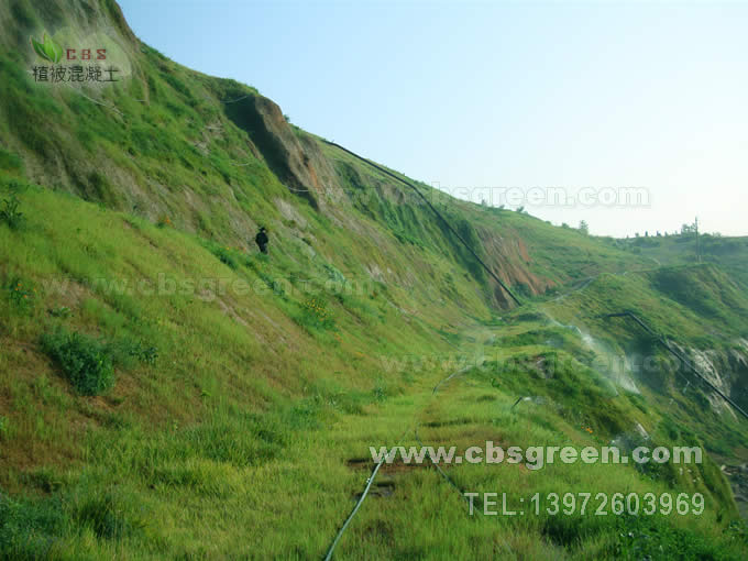 1602227287836787.jpg 6.jpg