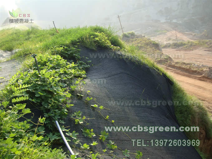 1602227299105189.jpg 7.jpg