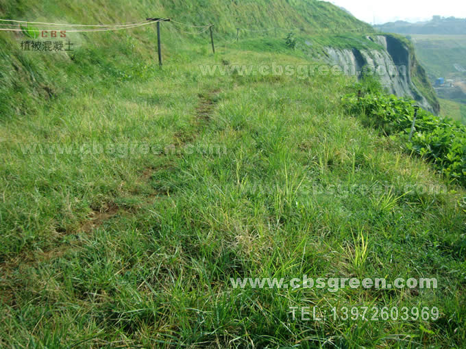 1602227351380476.jpg 11.jpg