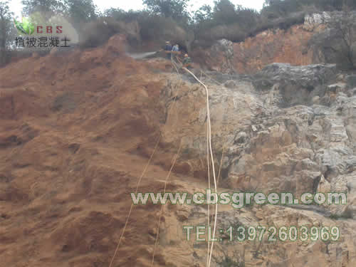 1602227566886280.jpg 2.jpg