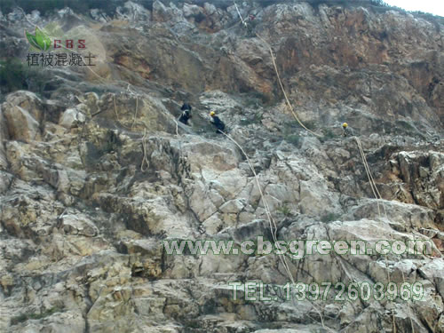 1602227574512952.jpg 3.jpg