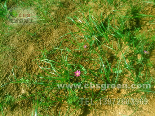 1602227579540660.jpg 4.jpg