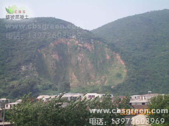 1602227896399337.jpg 4.jpg