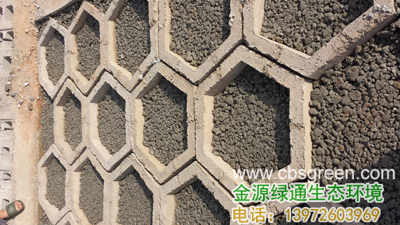 1602228507481108.jpg 2.jpg