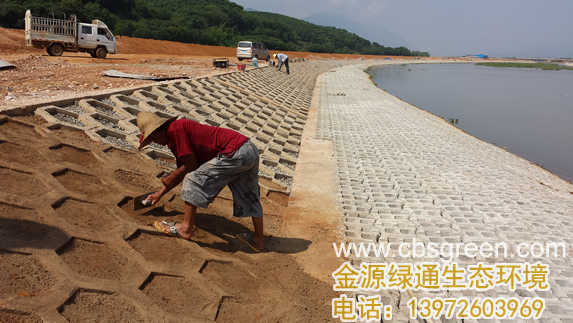 1602228519994316.jpg 3.jpg