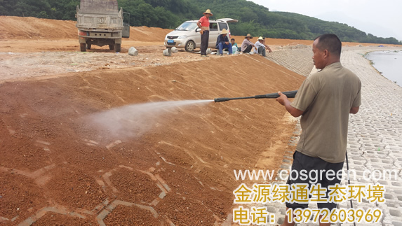 1602228536746778.jpg 4.jpg