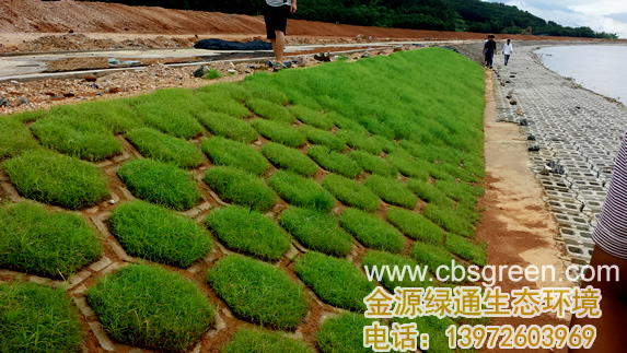 1602228585627658.jpg 7.jpg