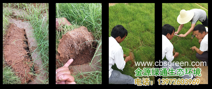 1602228614596714.jpg 9.jpg