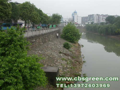 1602228774392456.jpg 3.jpg