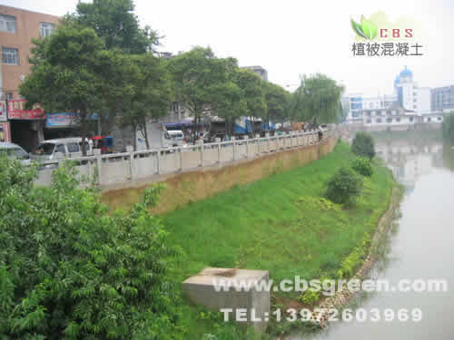 1602228803309598.jpg 4.jpg