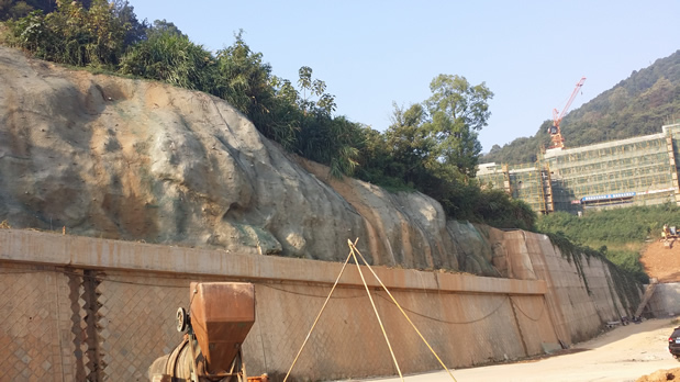 1602229377554702.jpg 2.jpg