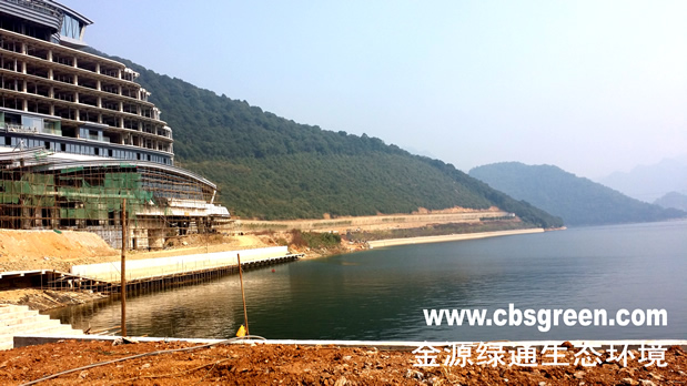 1602229427683794.jpg 7.jpg