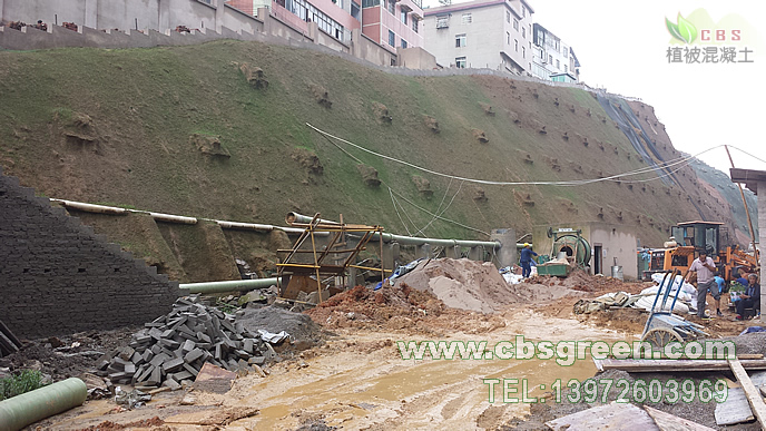 1602229632499989.jpg 2.jpg