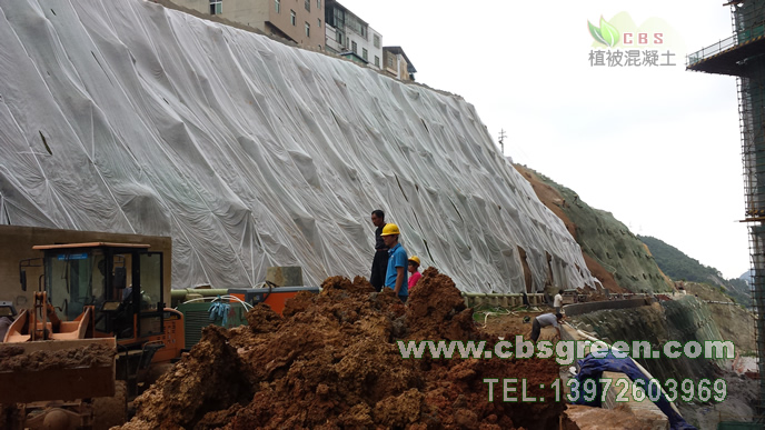 1602229637532234.jpg 3.jpg