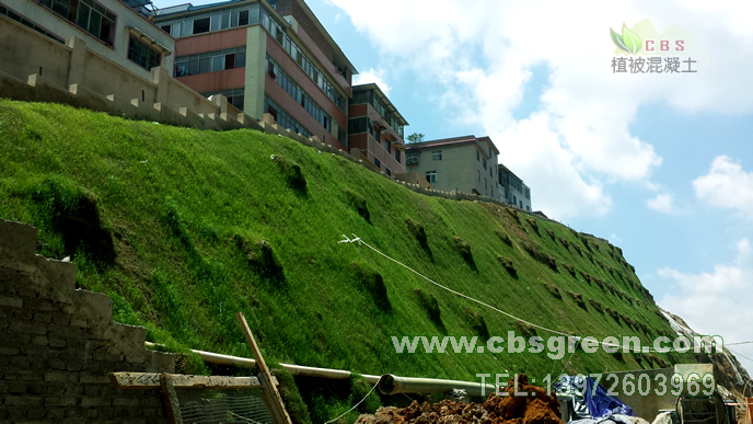 1602229644133906.jpg 5.jpg